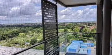 Professional Bird Netting Installation for Effective Property Protection Expert installation of bird netting on a commercial building to prevent bird access.